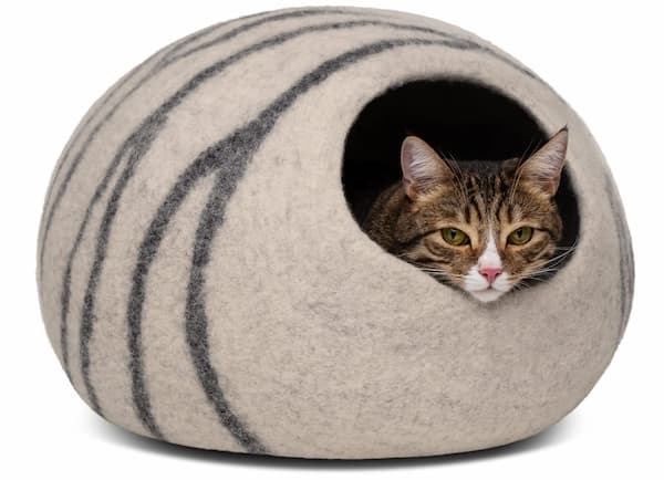 Cozy cat cave beds with cat peeking out