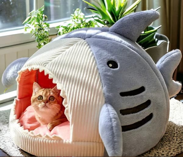 Cozy cat cave bed shark design