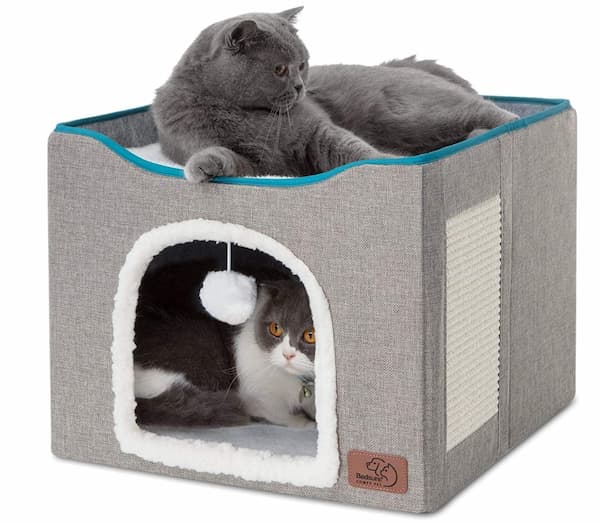 Two cats on a cat cave bed