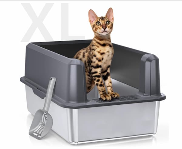 cat in a stainless steel high-sided litter box