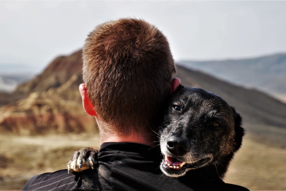 Happy senior dog being held by owner