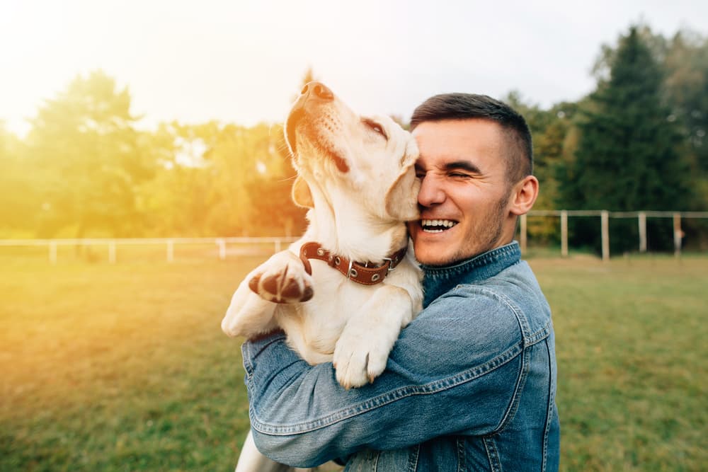 Dog and owner being held outside in the grass