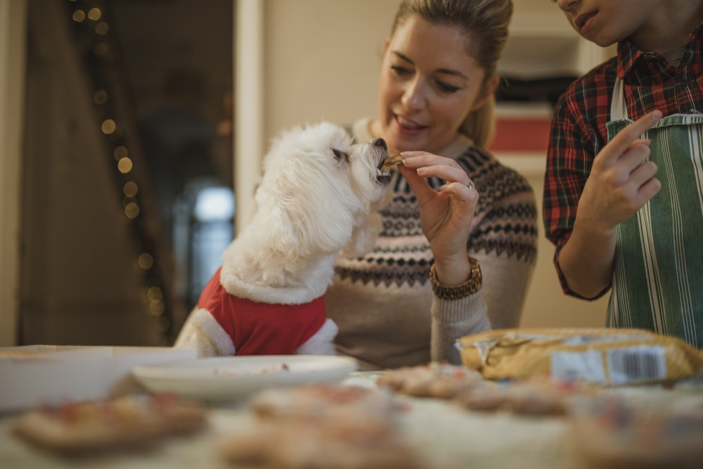 Woman baking pumpkin dog treats