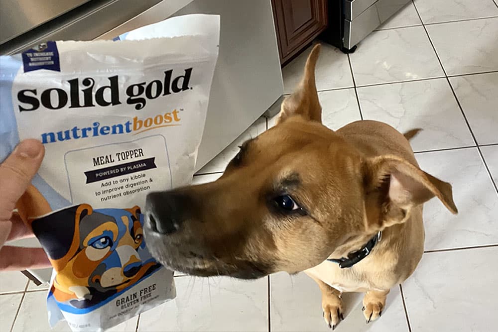 Purina grain free dog food review best sale