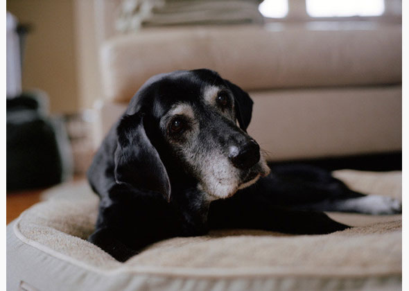 Tara, 16 - Ipswich, Mass.