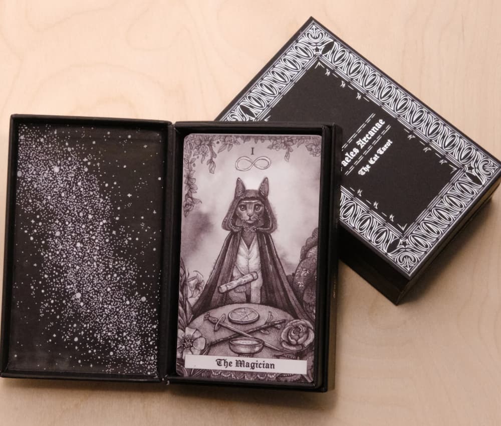 Taylor Bryn Art the Cat Tarot Deck