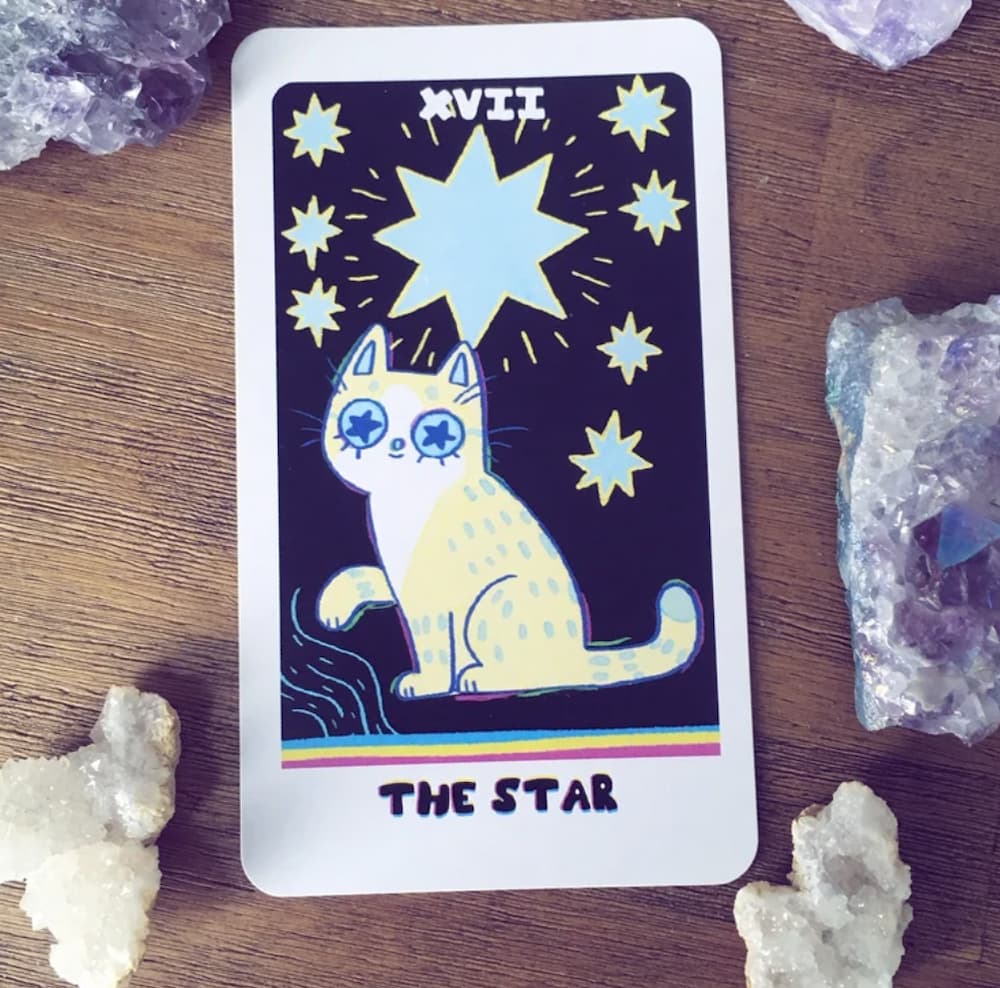 The Weird Cat Tarot Deck and Guidebook