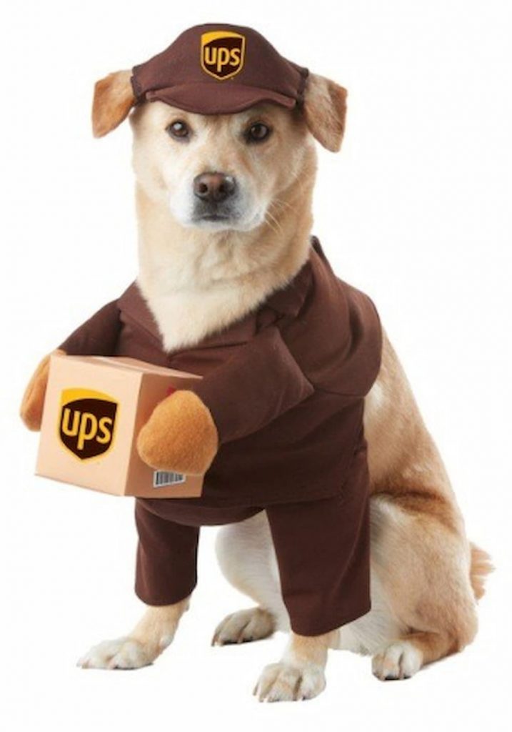 UPS dog costume