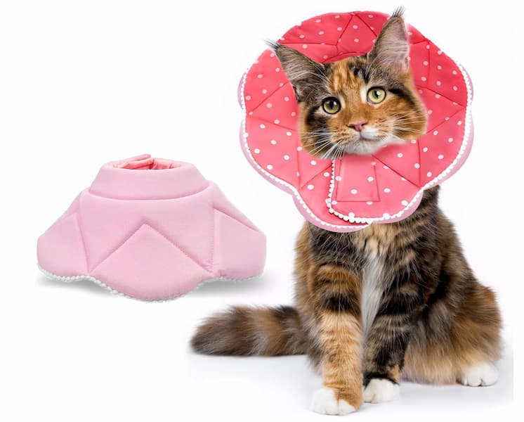 Cat Cone Alternatives 