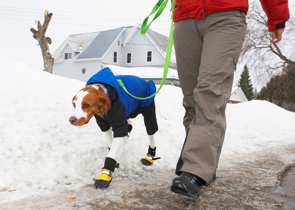 Learn how to walk safely in winter weather.