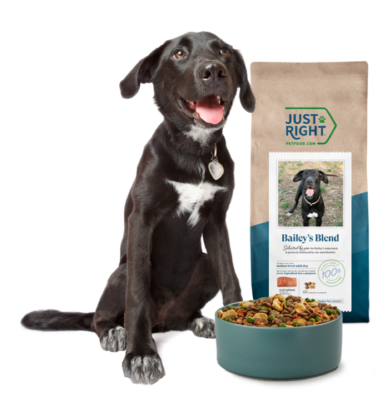 Just Right Pet Food